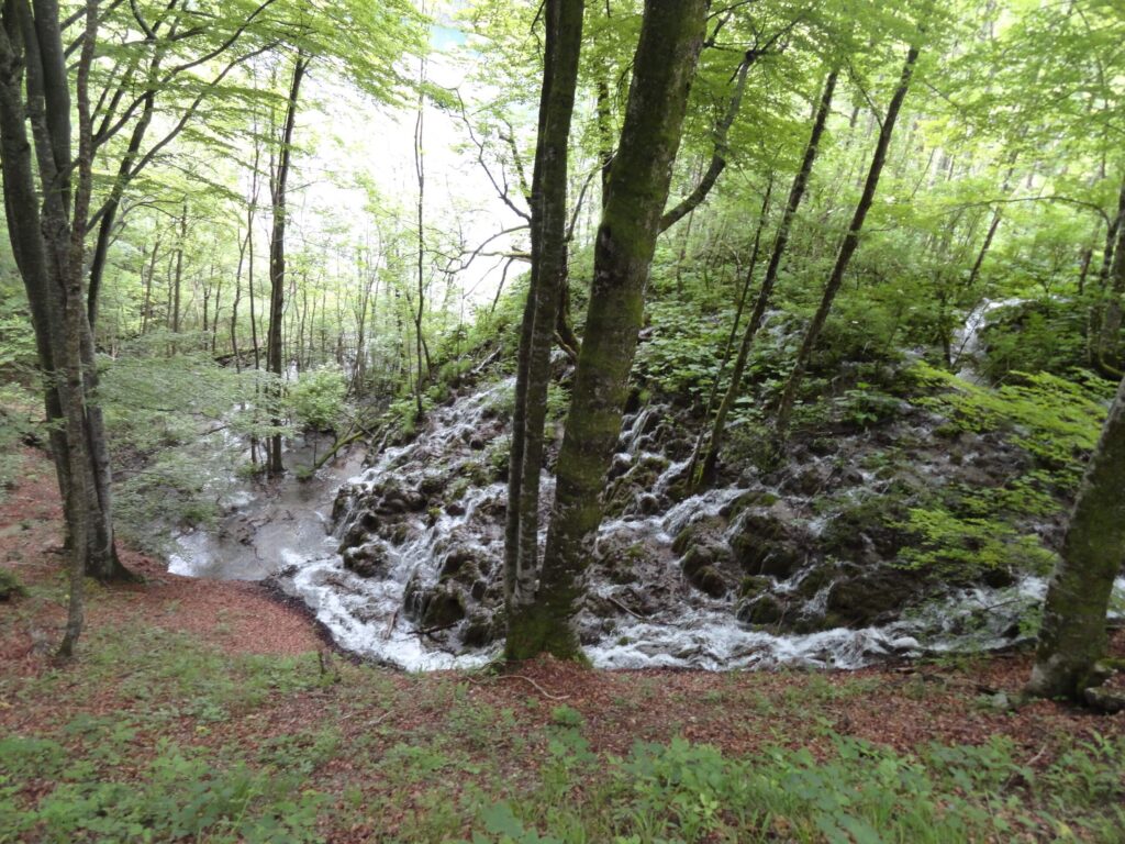 Parque Nacional Croacia