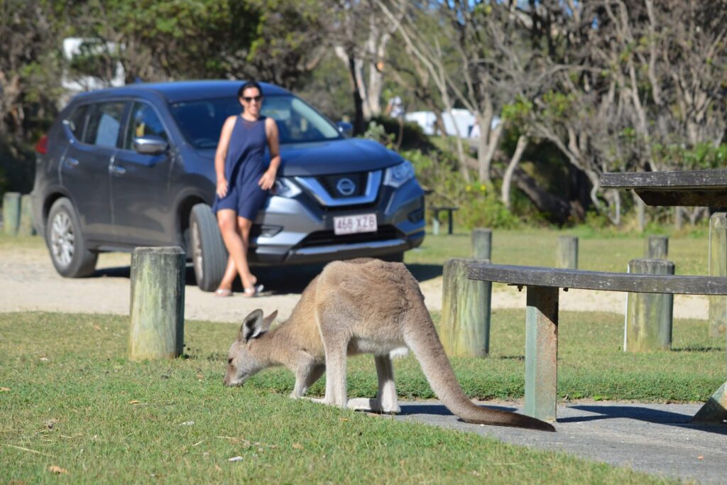 Road Trip Australia como economizar?